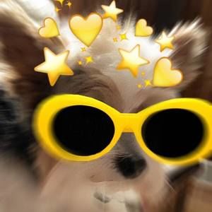 Meet your Posher, Darline